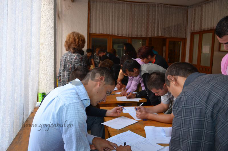 44 de șomeri din județ și-au găsit un job în statele UE