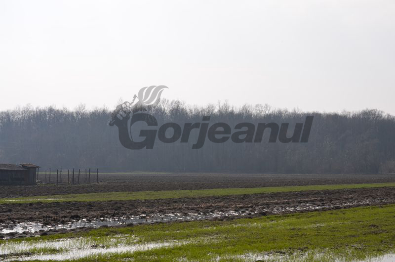 Bani de la AFIR pentru GAL-uri