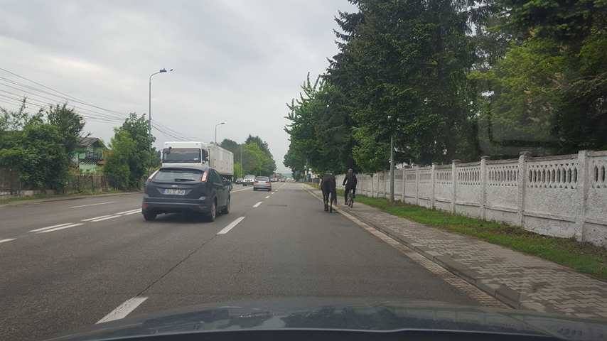 18280636_415661895475136_377630658_n