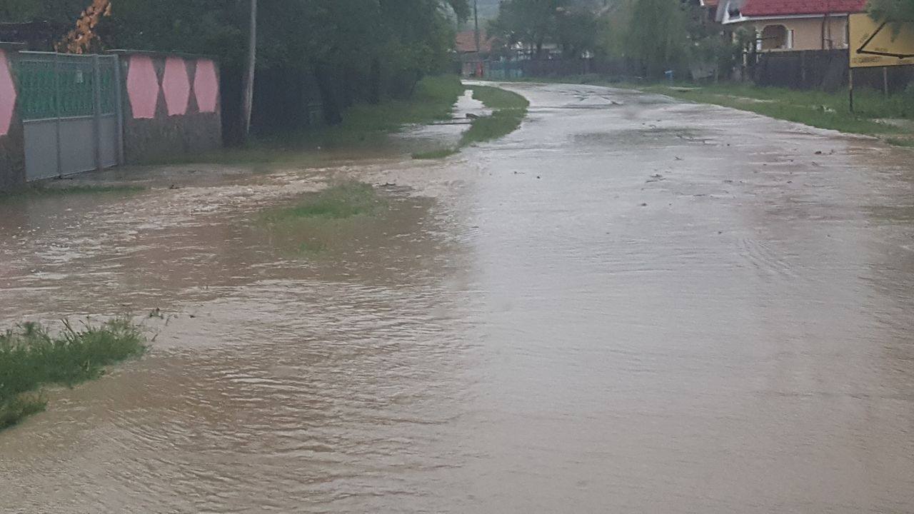 18318505_240943659718209_901557485_o