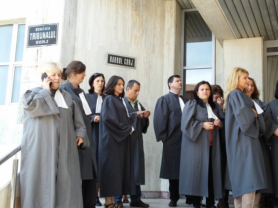 18788860_213156049203021_2016406141_n