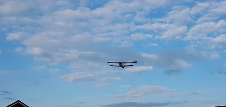 FB_IMG_1495025841728