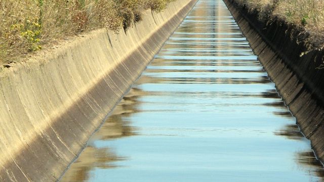 S-a lansat Ghidul solicitantului pentru o nouă submăsură destinată fermierilor