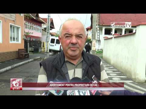 AVERTISMENT PENTRU PROPRIETARII DE CAI