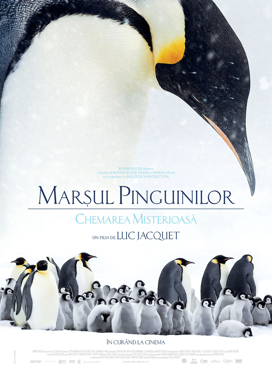 L’empereur (2017) Marșul Pinguinilor: Chemarea misterioasă – Sergiu Nicolaescu 14:00