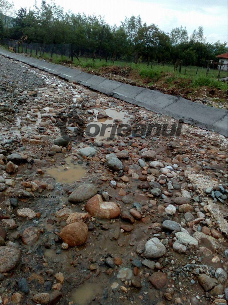 rosia de amaradia viitura (9)