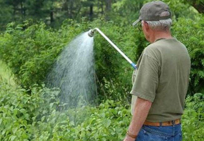 Agricultura pe înțelesul tuturor – Să ne protejăm ecologic grădina