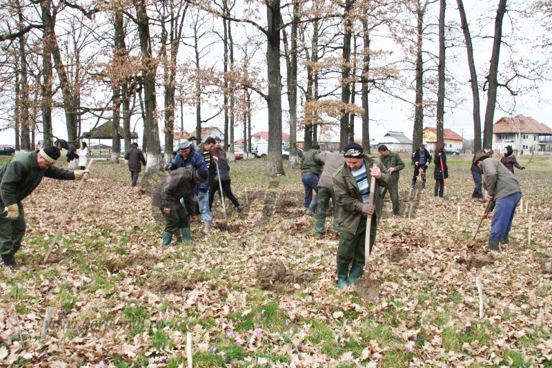 actiuni plantare apm (3)