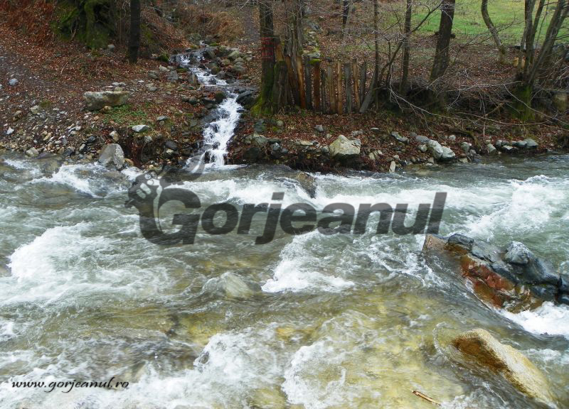 Locuri din țara lui Brâncuși (II)