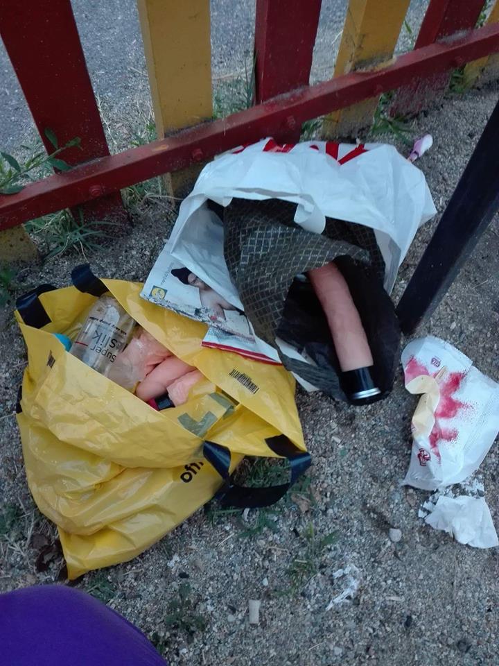 19873929_1742477652447790_1537025087_n