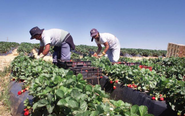 Campanie guvernamentală pentru gorjenii care vor să lucreze în străinătate