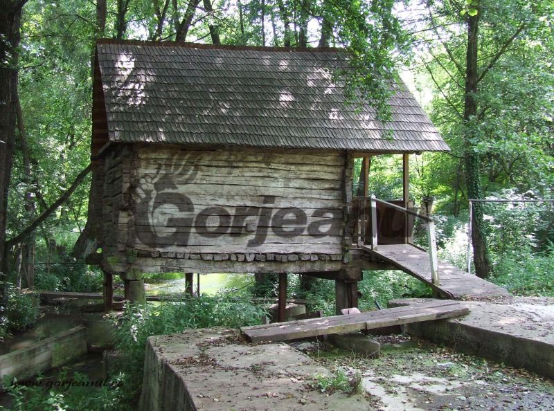 Locuri din țara lui Brâncuși – Ţinutul izvoarelor