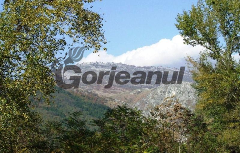 Gânduri la altitudine