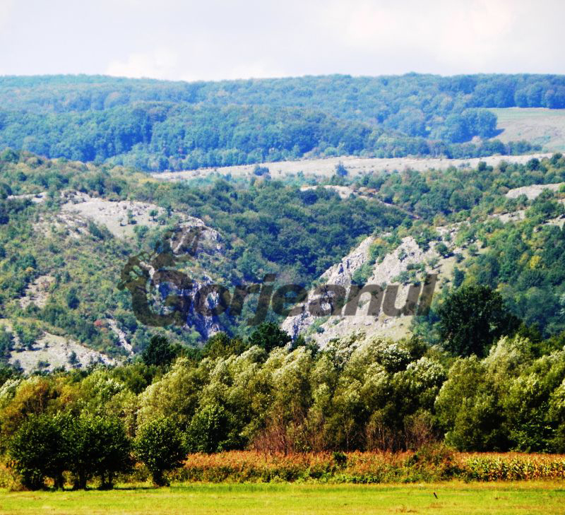 Astenii – Paradisul de lângă noi