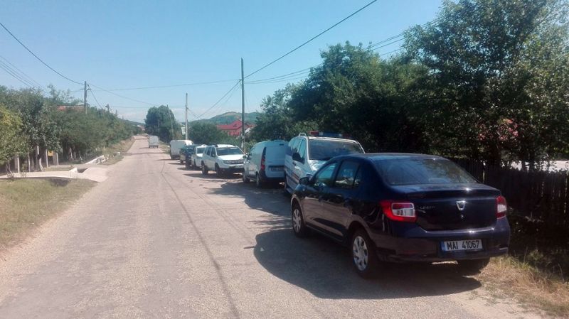 perchezitii vladimir