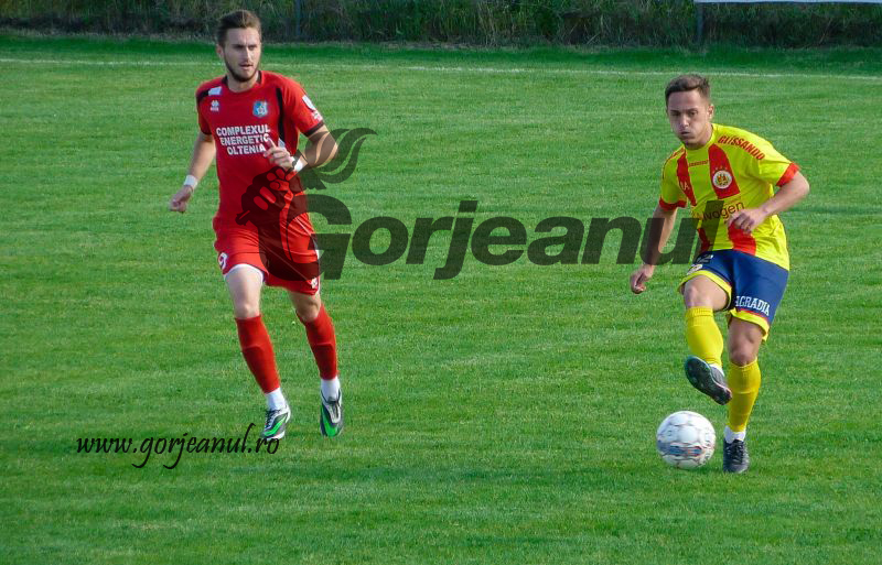 primul articol pag 24