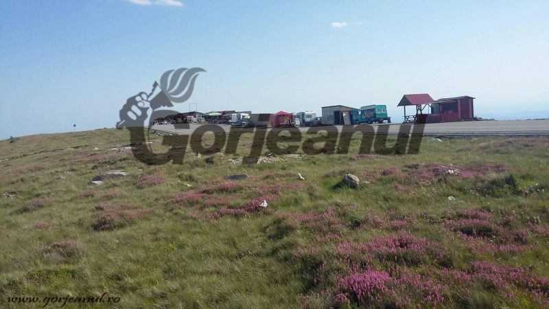 Transalpina, raiul iubitorilor de munte