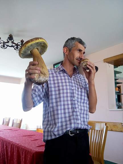 20613989_1047091165426647_556313968_n