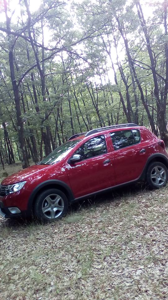 20614437_1375867509115127_1923851285_n