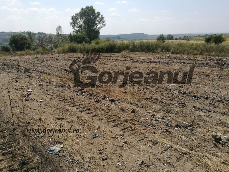 20793533_1706423179659830_1124532069_o