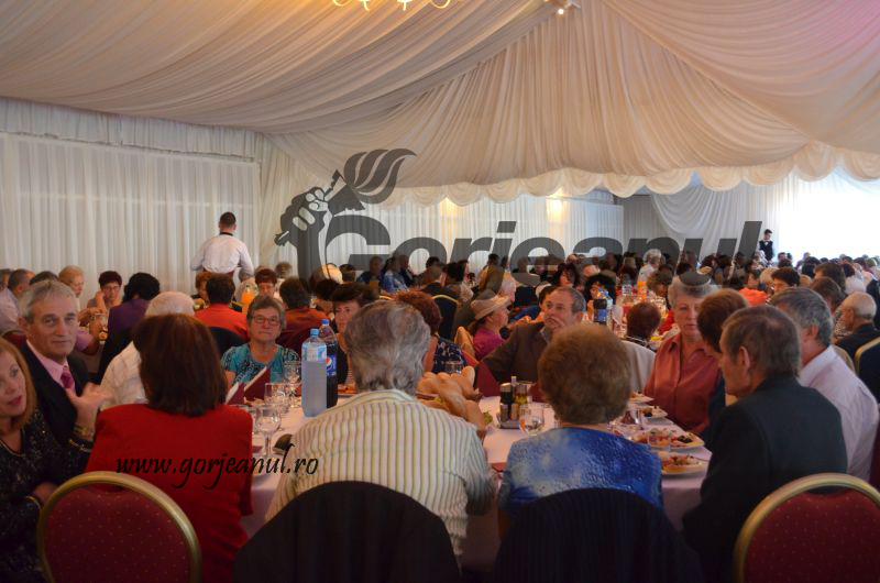 140.000 de lei din bugetul local, pentru marcarea Zilei Internaţionale a Persoanelor Vârstnice