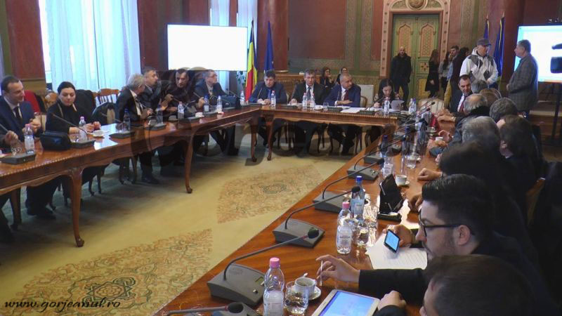 consiliul judetean (1)