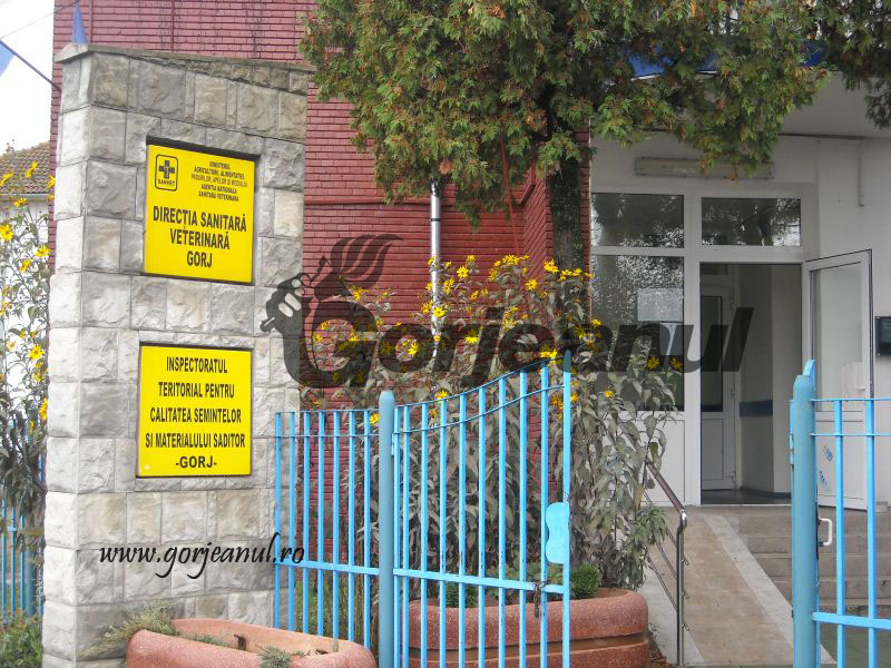 Trei persoane vor postul de şef laborator în cadrul DSVSA Gorj