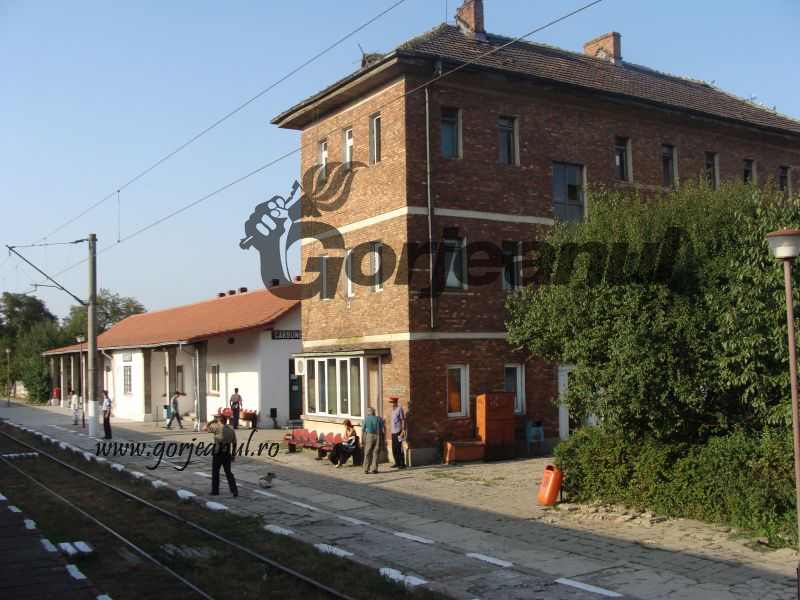 Un cetățean de onoare din Târgu-Cărbunești solicită construirea unei linii ferate, care să-i lege orașul de Pitești