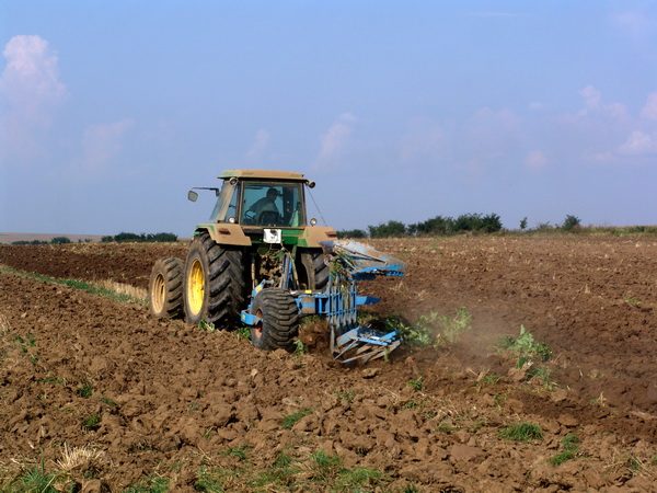 OJFIR Gorj: Se primesc cereri de finanţare a proiectelor de marketing agricol!