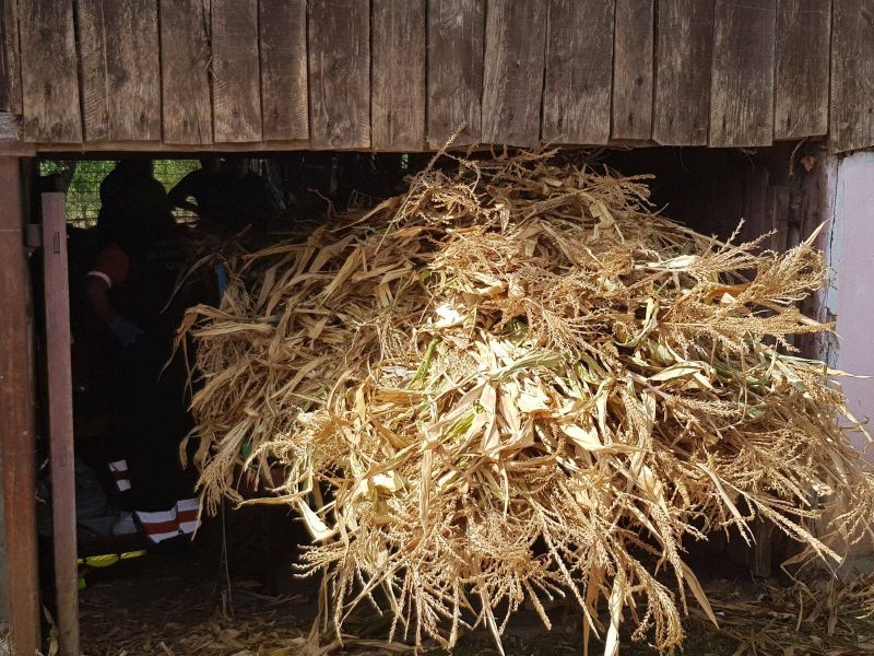 A murit strivit de tractor