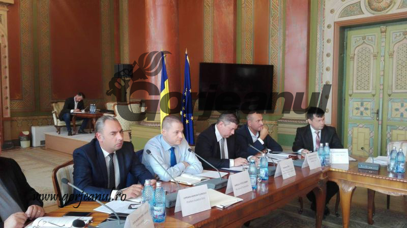 21460183_1143596562339254_869097326_o