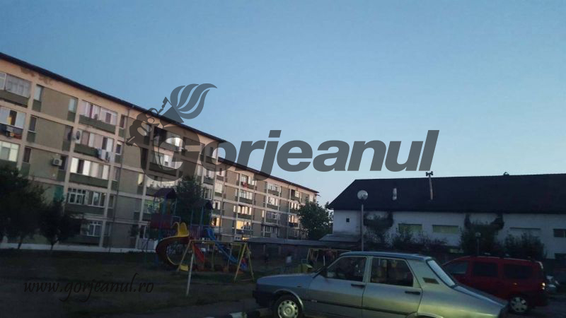 21729762_742490322605711_1532031574_o