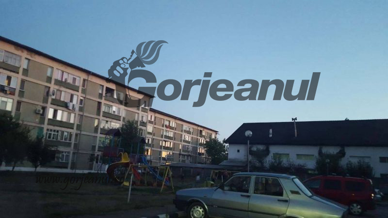 21729762_742490322605711_1532031574_o