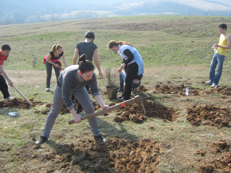 Plantări de arbori la Vladimir, de Ziua împăduririi naţionale