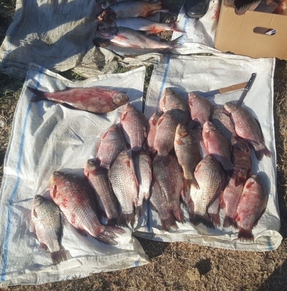 Cercetat pentru braconaj piscicol