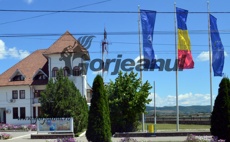 primaria turceni nou