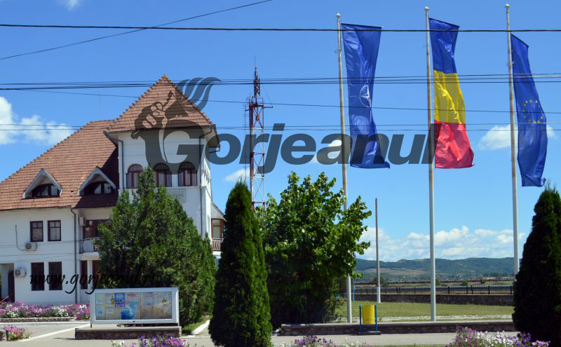 Primăria Turceni recrutează un arhivar