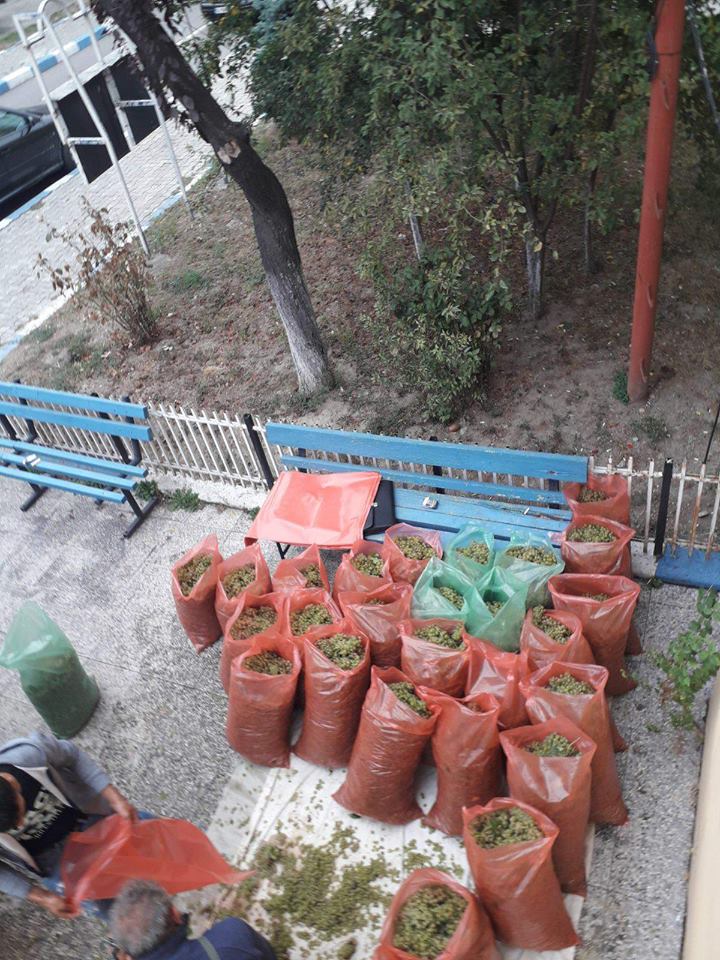 Tone de struguri și făină, confiscate de polițiști