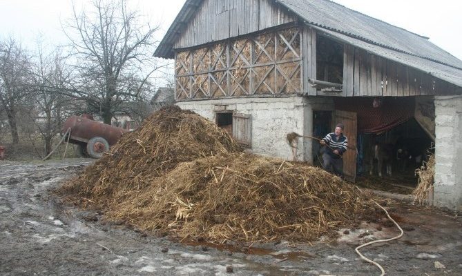Agricultura pe înțelesul tuturor – Cum se folosește corect gunoiul de grajd