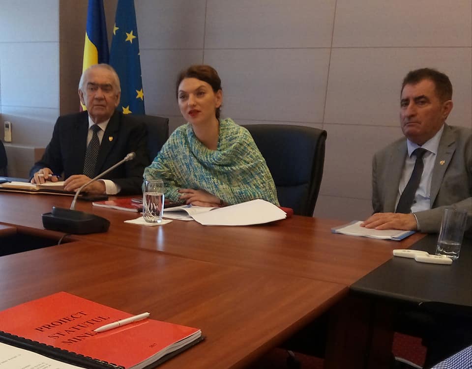 22310126_173098526579460_3690659742584755853_n