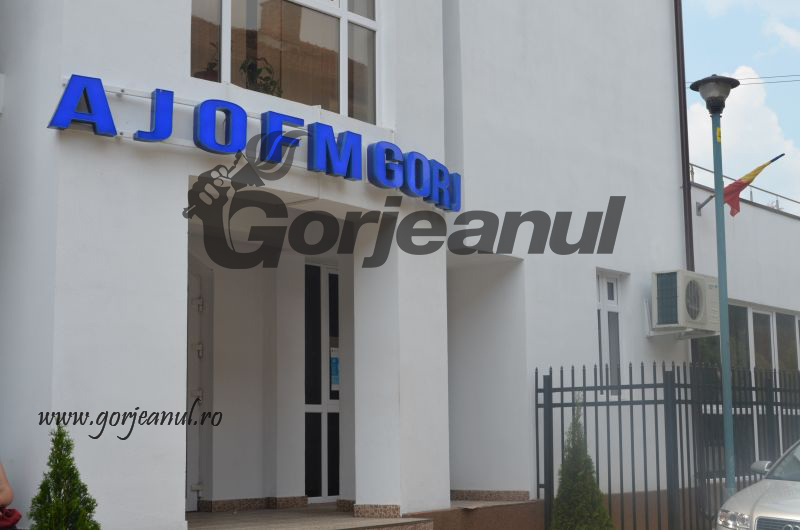 Peste 4.800 de gorjeni, încadraţi în muncă cu ajutorul AJOFM Gorj