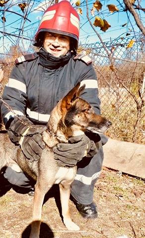 Câine lup căzut în fântână, salvat de pompieri