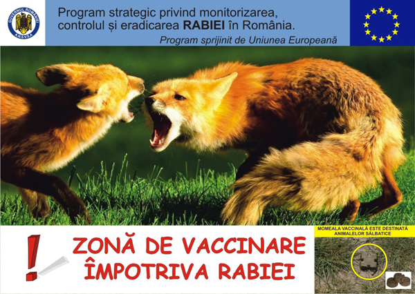 Start la o nouă vaccinare antirabică a vulpilor din judeţ!