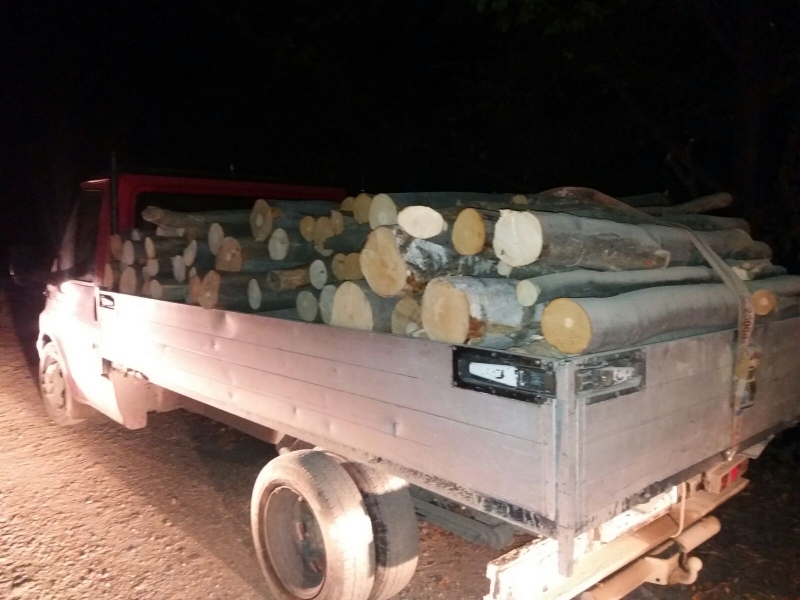 Amendă de 5.000 de lei pentru un șofer care transporta lemne fără acte