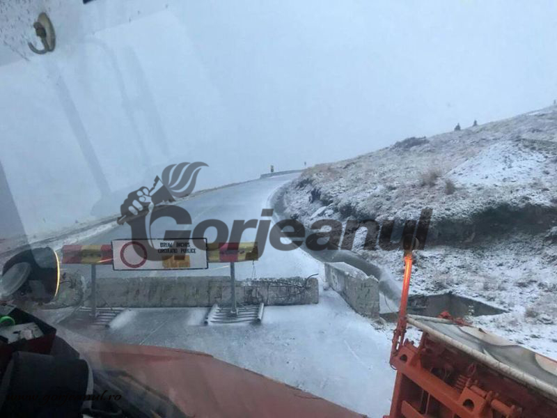 transalpina inchisa (2)