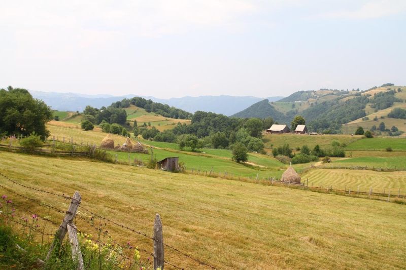 Bani de la APIA pentru aproape 85% dintre fermierii din Gorj