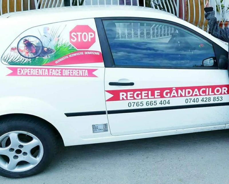 22790095_355795131531355_1657012146_o