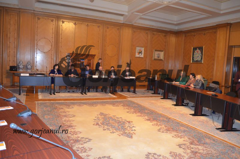 23314287_764611933726883_2014278602_o