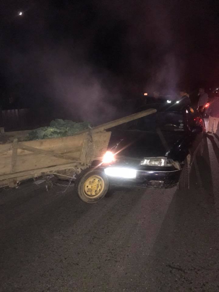 23795851_339158516555841_4364853890736783546_n