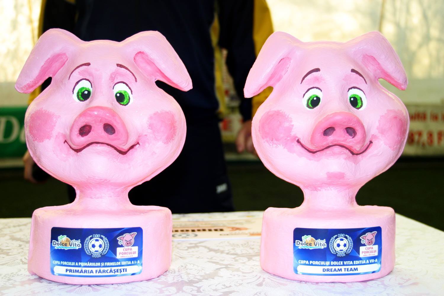 23846867_10155762556321397_95024886_o